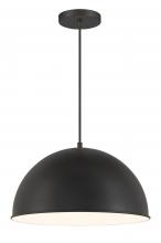  6203-66A - 1 LIGHT, HANGING DOME