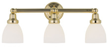  1023-02 - 3 Light Polished Brass Bath Light