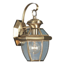  2051-01 - 1 Light AB Outdoor Wall Lantern