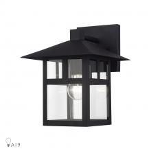  21323-14 - 1 Light Satin Gold Large Outdoor Wall Lantern with Clear Glass