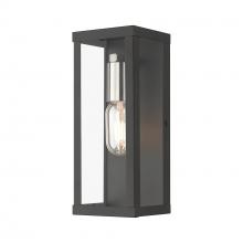  28032-04 - 1 Light Black Outdoor ADA Medium Wall Lantern with Brushed Nickel Finish Accents