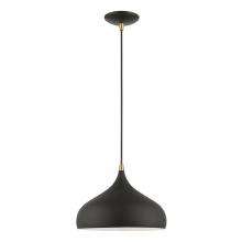 Livex Lighting 41172-14 - 1 Light Textured Black with Antique Brass Accents Pendant