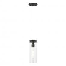 41236-04 - 1 Light Black with Brushed Nickel Accent Mini Pendant