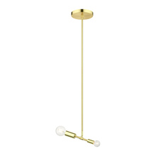 Livex Lighting 46432-12 - 2 Lt Satin Brass Pendant