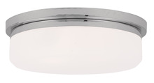  7393-05 - 3 Light CH Ceiling Mount or Wall Mount