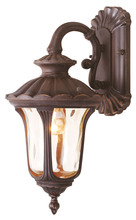  7651-58 - 1 Light IB Outdoor Wall Lantern