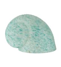  11693 - 5"W X 6"L TEAL DAPPLE SNAIL SHADE