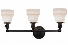  146102 - 26"W Revival Garland 3 LT Vanity Light