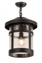  187840 - 14"W Fulton Hanging Lantern Pendant