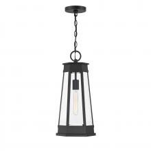  5-208-BK - Payne 1-Light Outdoor Hanging Lantern in Matte Black