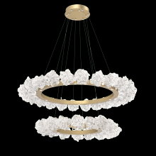 Hammerton CHB0059-2B-MB-BC-CA1-L1 - Blossom Two-Tier Ring