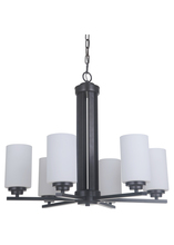  39726-OB - Albany 6 Light Chandelier in Oiled Bronze