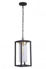  ZA4821-MNSB - Neo 1 Light Outdoor Pendant in Midnight/Satin Brass