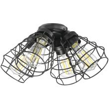  LK405101-FB-LED - 4 Light Cage Light Kit in Flat Black