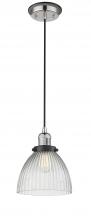  201CBP-PNBK-G222 - Seneca Falls - 1 Light - 10 inch - Polished Nickel - Cord hung - Mini Pendant