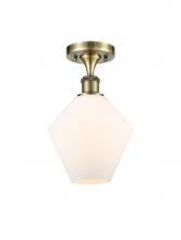  516-1C-AB-G651-8 - Cindyrella - 1 Light - 8 inch - Antique Brass - Semi-Flush Mount