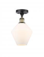  516-1C-BAB-G651-8 - Cindyrella - 1 Light - 8 inch - Black Antique Brass - Semi-Flush Mount