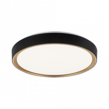 Matteo Lighting M10602BKGL - Alamus Ceiling Mount