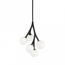  C81505BKOP - Rami Chandelier