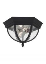 Generation Lighting 78136-12 - Wynfield traditional 2-light outdoor exterior ceiling ceiling flush mount in black finish with clear