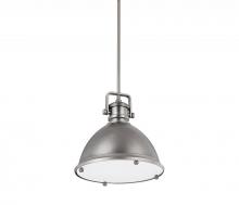  4432AN - 1 Light Pendant