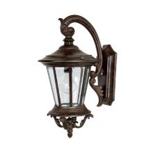  9751TS - One Light Tortoise Wall Lantern