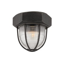  C3890-APW - Acme Flush Mount