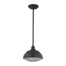  5331-RBZ - Pendant light