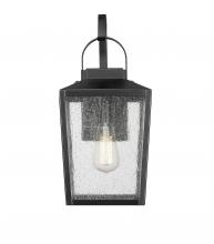  42651-PBK - Outdoor Wall Sconce