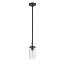  495001-MB - Janna 1-Light Mini-Pendant light Matte Black