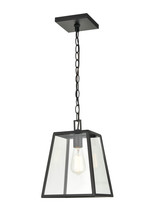  8011-PBK - Outdoor Hanging Lantern