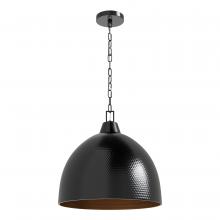  99206-BLSS - Arrco Indoor Pendant