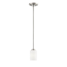  7251-SN - Pendant light