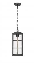  10831-PBK - Outdoor Hanging Lantern