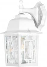 Nuvo 60/3484 - Banyan - 1 Light - 12" Outdoor Wall with Clear Water Glass; Color retail packaging