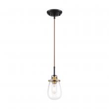 Nuvo 60/6852 - Toleo- 1 Light Mini Pendant - with Clear Glass - Black Finish with Vintage Brass Accents