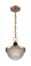 Nuvo 60/7059 - Faro - 1 Light Pendant with Clear Prismatic Glass - Burnished Brass and Black Accents Finish