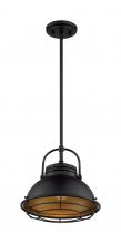 Nuvo 60/7074 - Upton - 1 Light Pendant with- Dark Bronze and Gold Finish