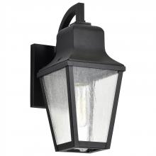  60/8131 - Lawrence; 1 Light Small Wall Lantern; Matte Black with Clear Seeded Glass