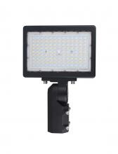  65/620 - LED Flood Light; 150 Watt; 5000K; Bronze Finish