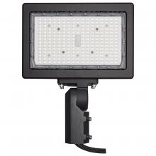  65/620R1 - LED Flood Light; 150 Watt; 5000K; Bronze Finish