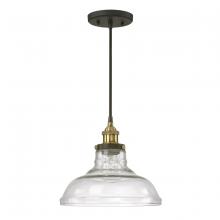 Austin Allen & Co. 9A137A - 1-Light Pendant in Bronze and Brass with Clear Glass Shade