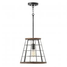 Austin Allen & Co. AA1001ZW - Cage Pendant in Zinc and Wood