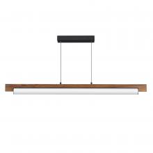  E24932-WNBK - Joist-Linear Pendant